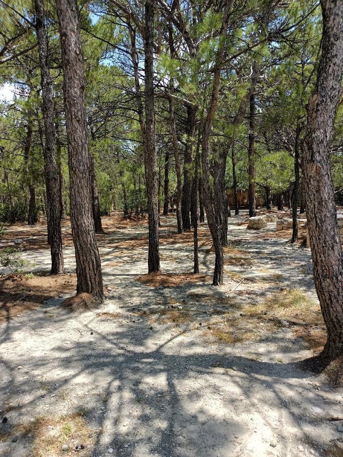 Sea View Pine House Villa Makriyialos Bagian luar foto
